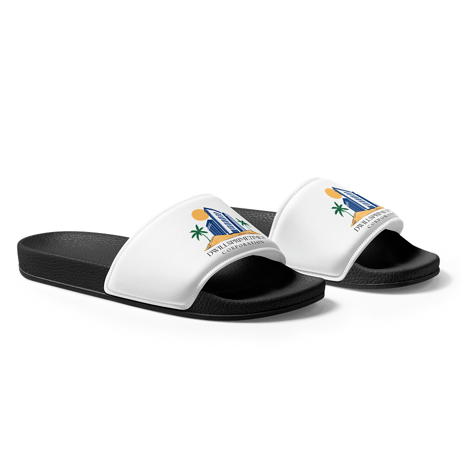 Dwillsprimetime Corporation Men's Slides product image (1)