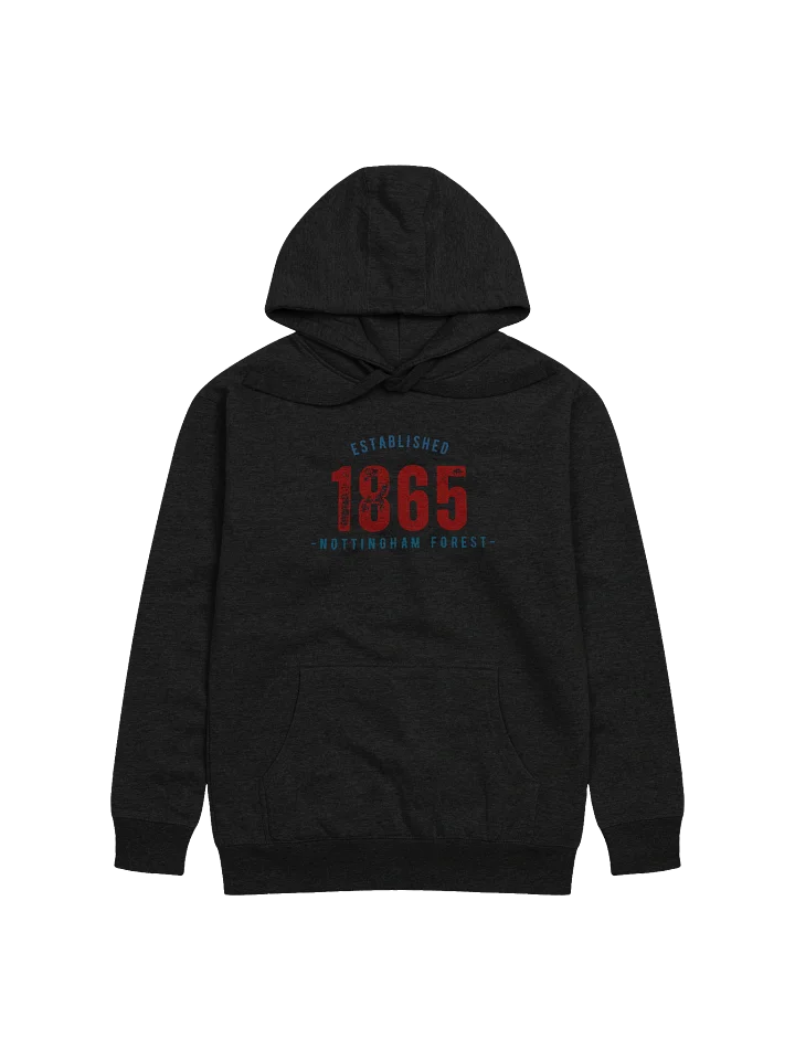 1865 Hoodie product image (2)
