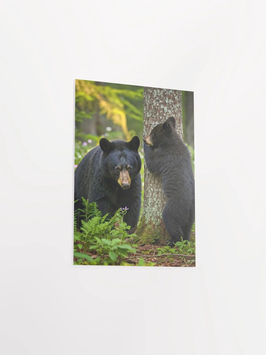 Forest Fun - Black Bears Hide and Seek Poster product image (3)