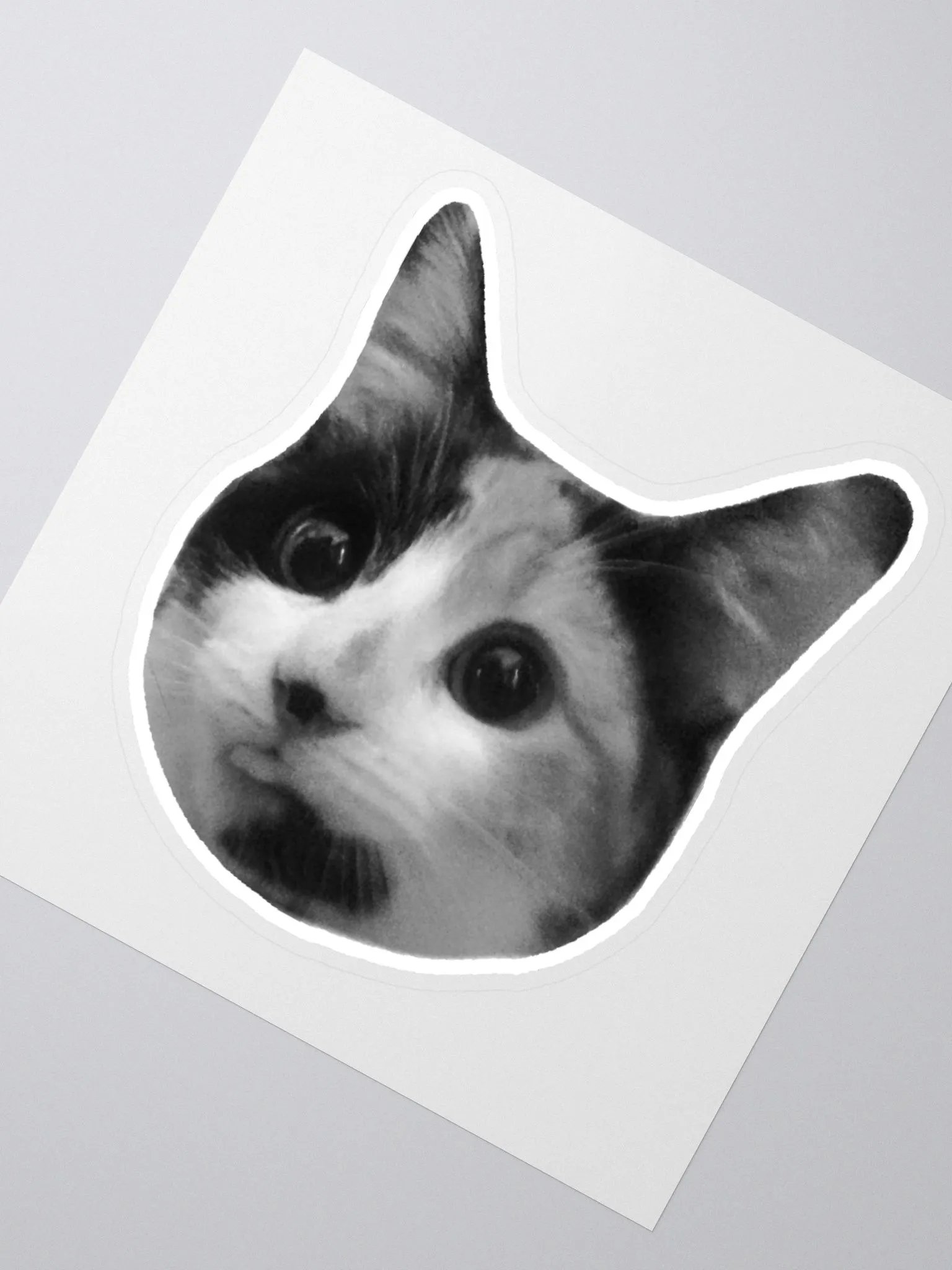 SPOINS - Sticker product image (2)