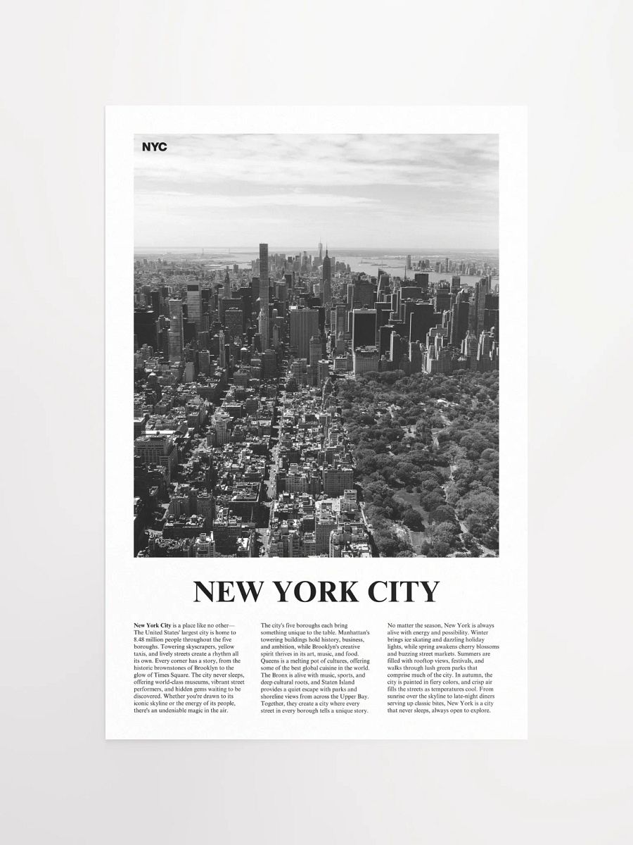 New York City 04 Newspaper Poster product image (5)
