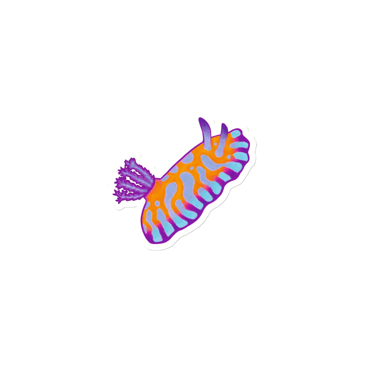Sea Slugs: Set 1, Chromodoris Roboi - Magnet product image (1)