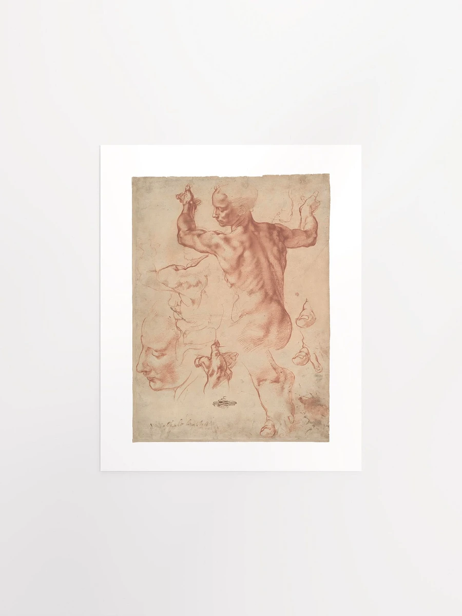Studies for the Libyan Sibyl by Michelangelo (c. 1510-1511) - Print product image (1)