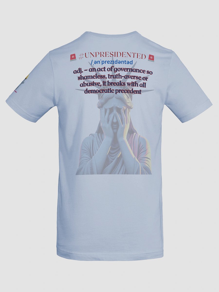 Stand With Liberty Barbed Wire American Flag, US Flag Bella & Canvas 3001 Supersoft Tee product image (8)