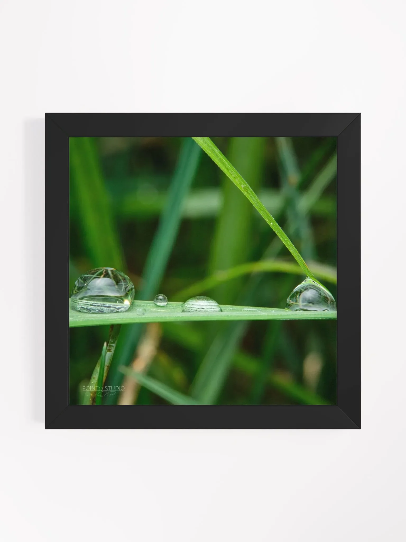 Dew Gems #12 - Framed Print product image (1)