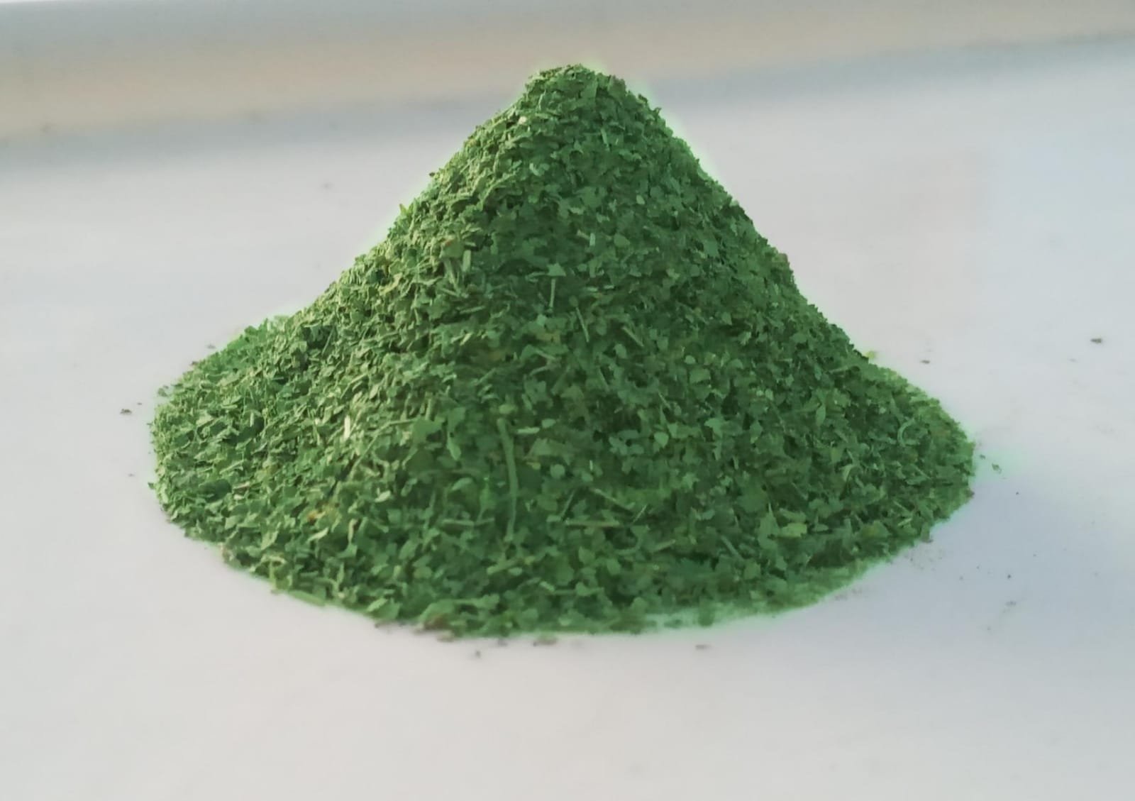 100% Organic Moringa/Oleifera Leaf Powder | Nature's Miracle SALAM & SONS CHANDIWALE Official Superfood Supplement product image (5)