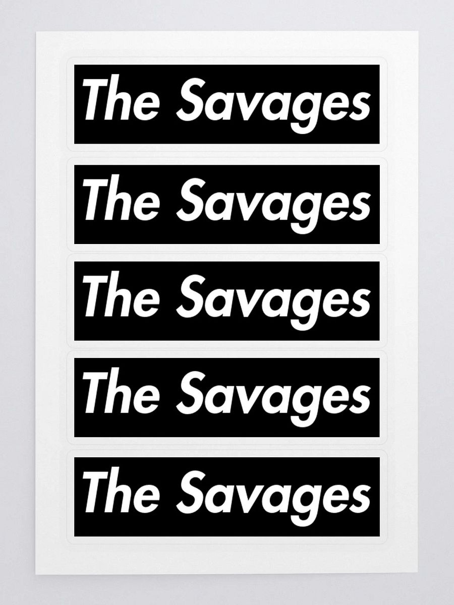 Box logo stickers product image (3)