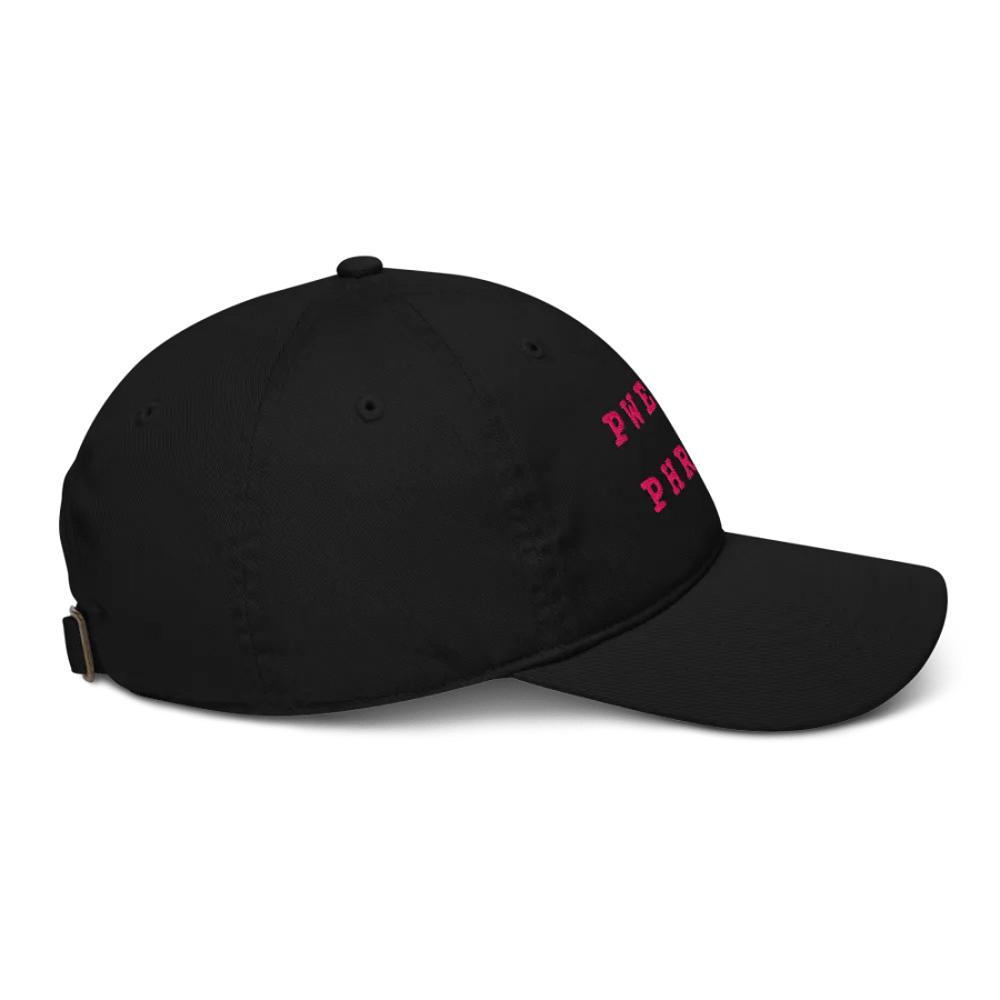 B*TCH PLEASE - Organic Cotton Dad Cap (Pink) product image (11)