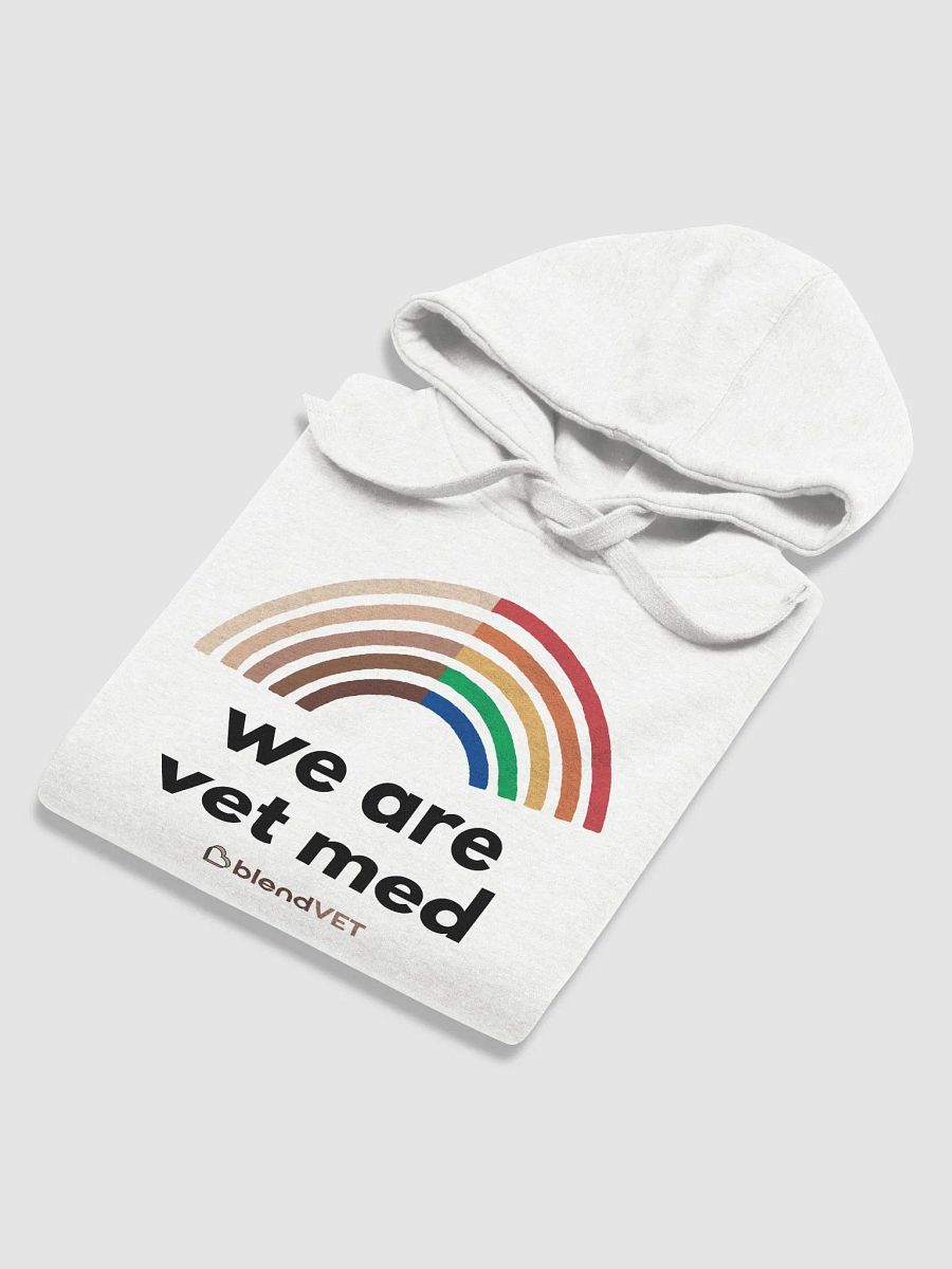 Pride - We Are Vet Med Hoodie product image (7)