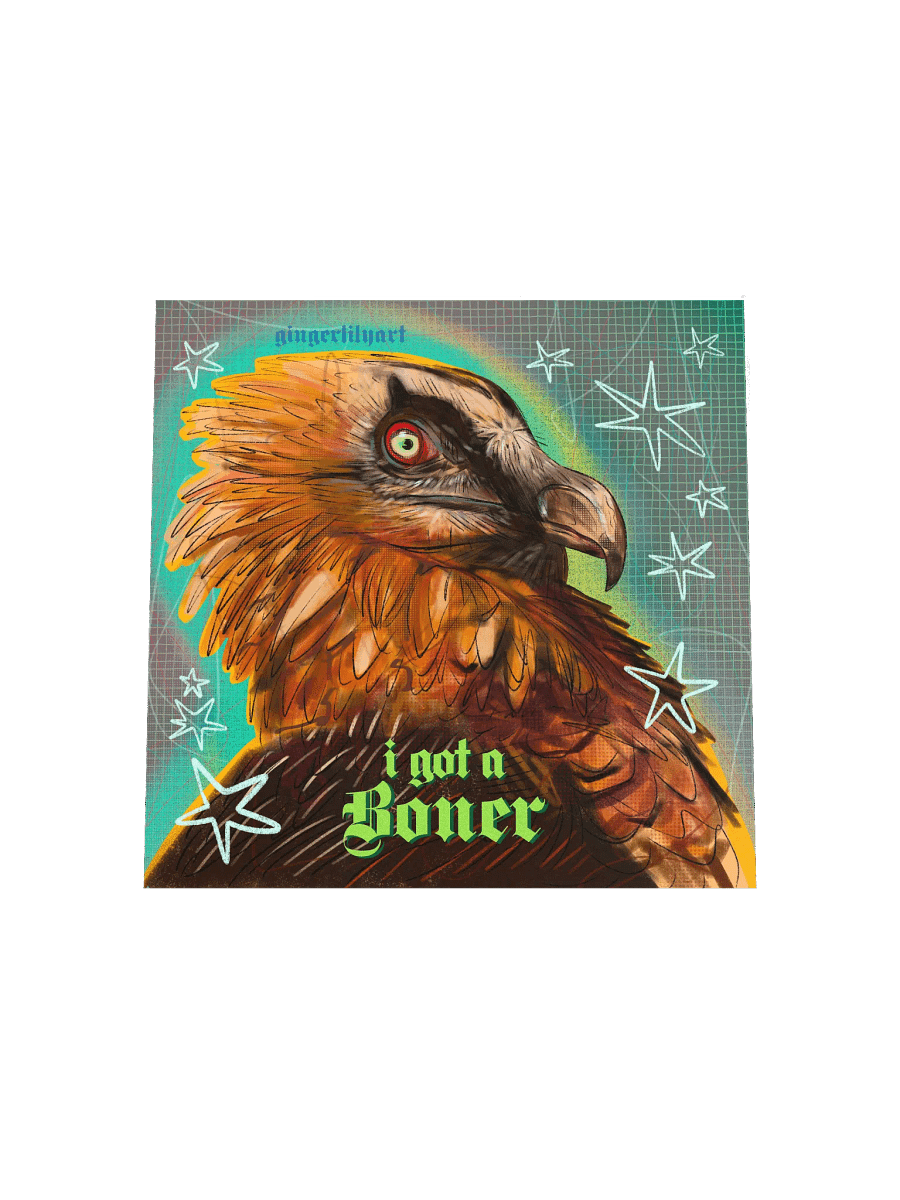 bearded vulture print product image (7)