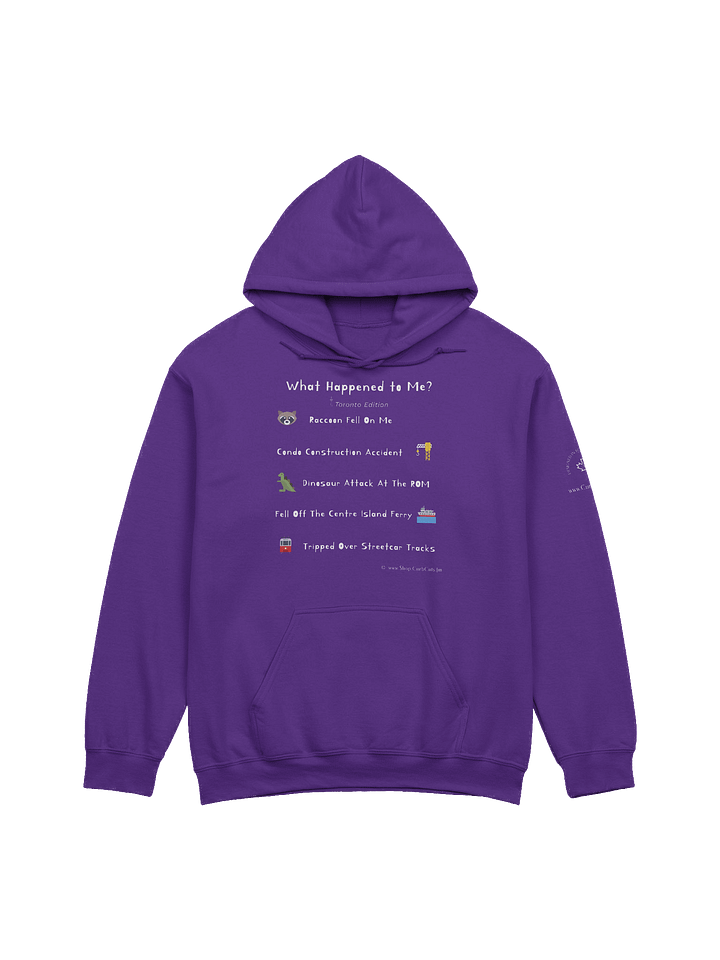 WHAT HAPPENED TO ME ? (Toronto Edition): Hoodie product image (1)