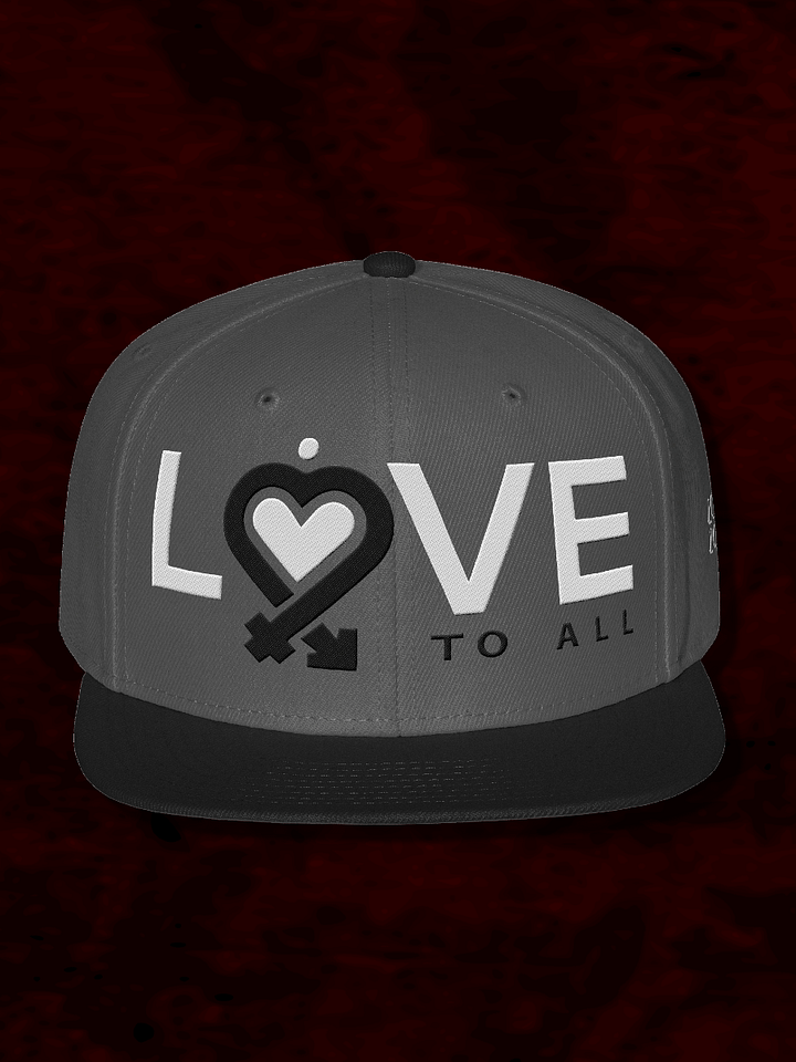 L2A Embroidered Snapback Hat product image (1)
