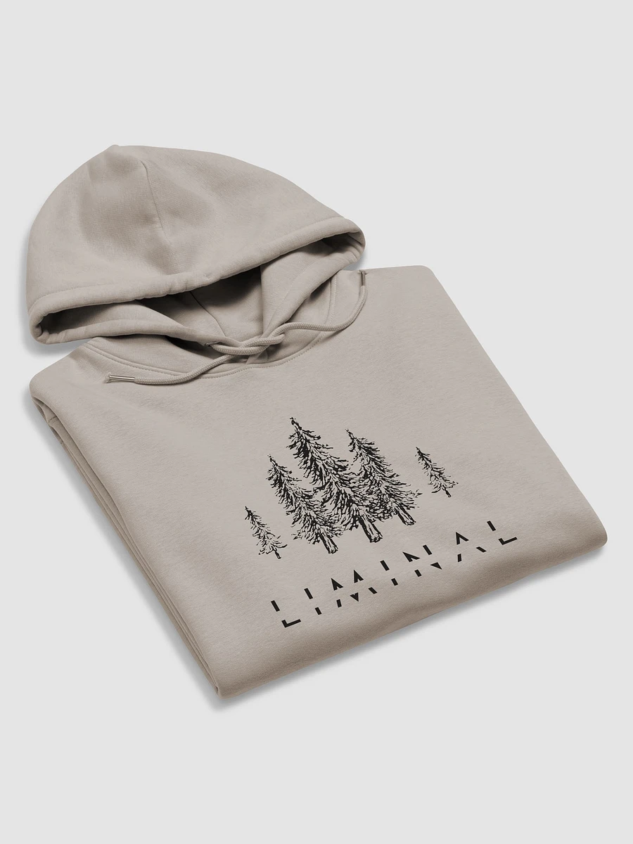 LIMINAL Eco-Friendly Hoodie product image (6)