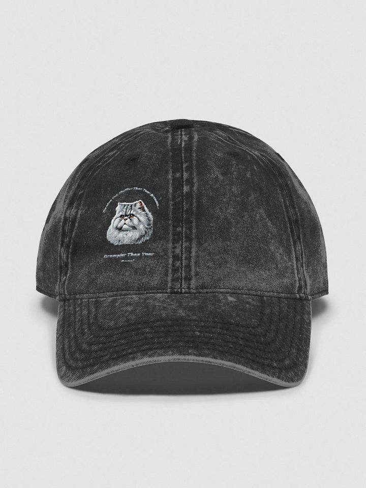 Persian Cat Fluffy Dreams Vintage Dad Hat product image (3)