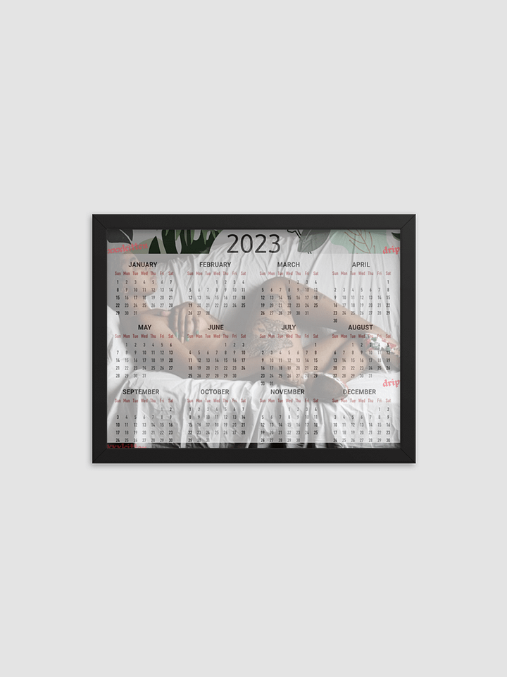Framed High-Quality Matte Poster product image (1)