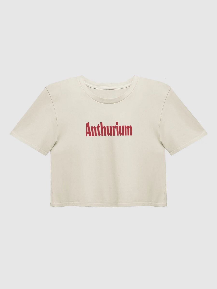 ⚡️ ANTHURIUM WORLD TOUR ⚡️ crop top product image (2)