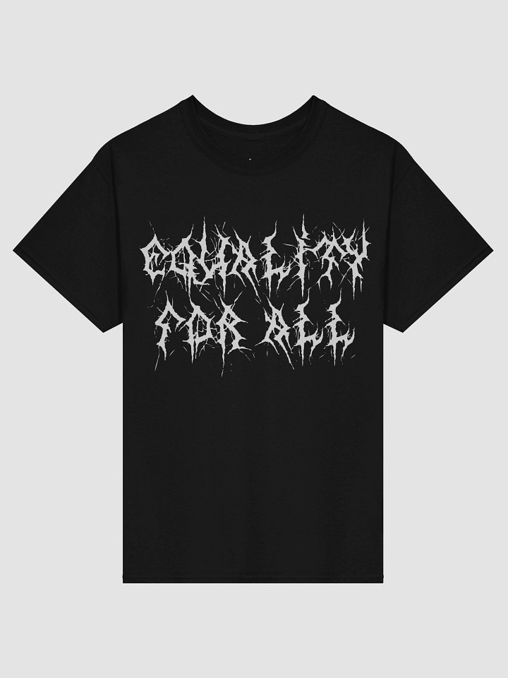 Equality For All /No One is Free Until We are All Free Heavy Tee product image (1)