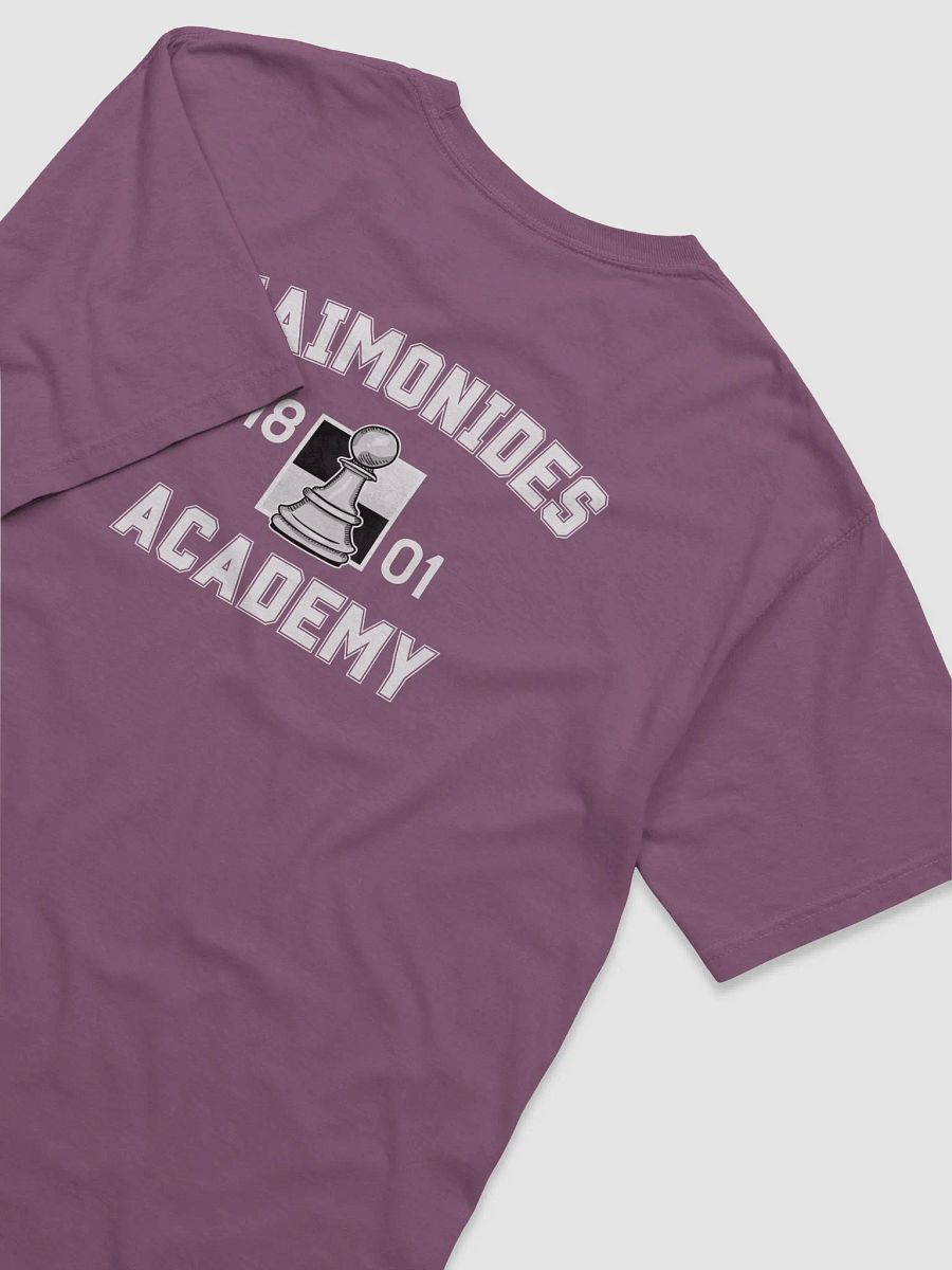 Maimonides Academy Back - White Pawn - Shirt product image (27)