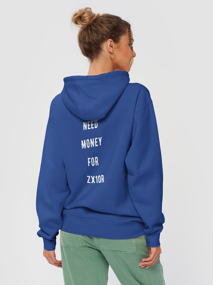 need money for zx10r | heavy hoodie product image (1)