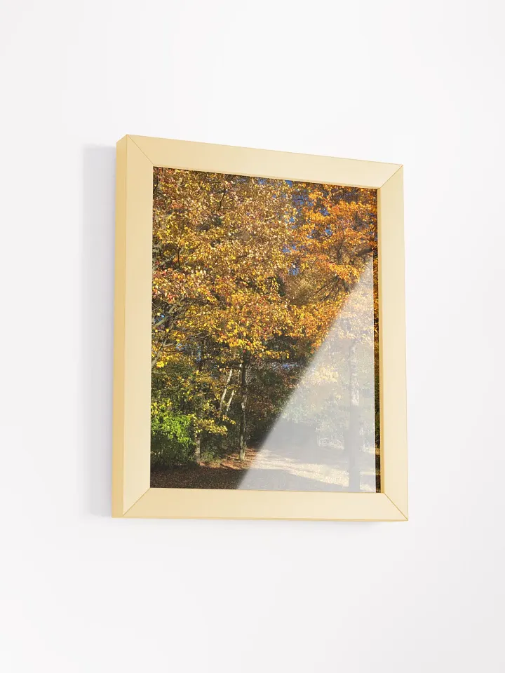 Fall Leaves High Quality Matte Poster product image (2)