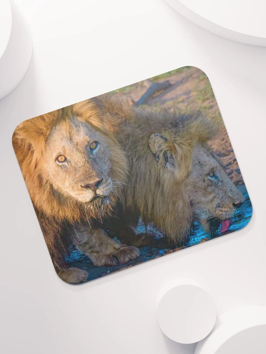 Unique mouse pad with two male lions from Kruger Park product image (7)