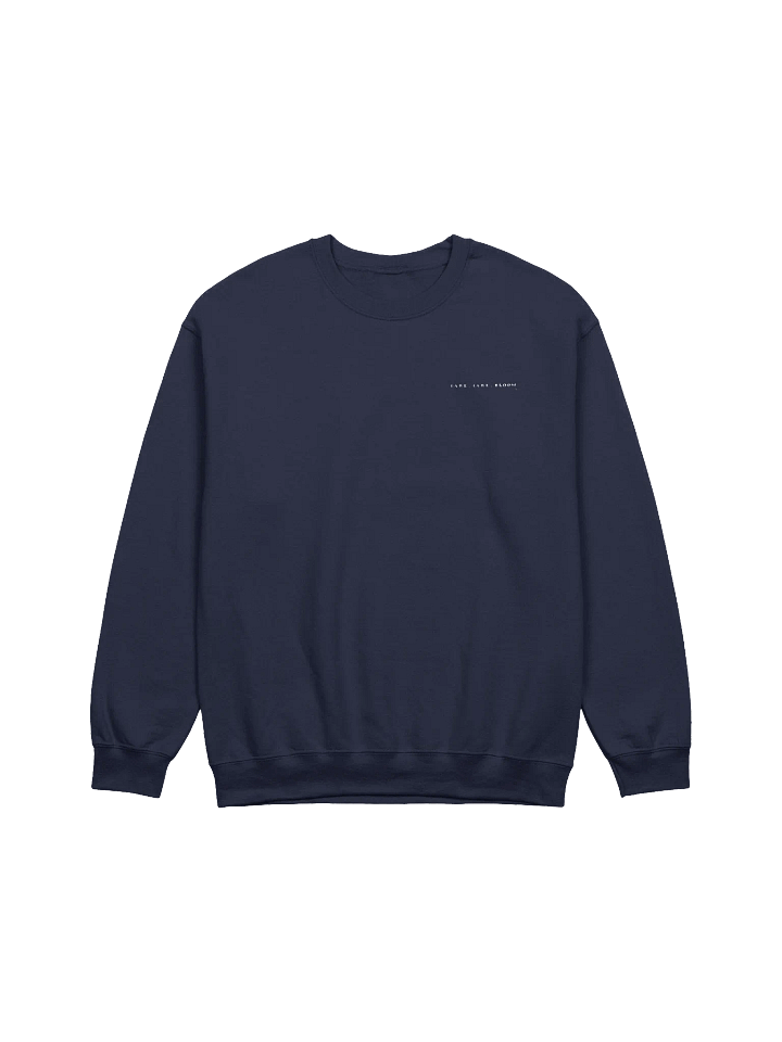 Sweatshirt Man product image (2)
