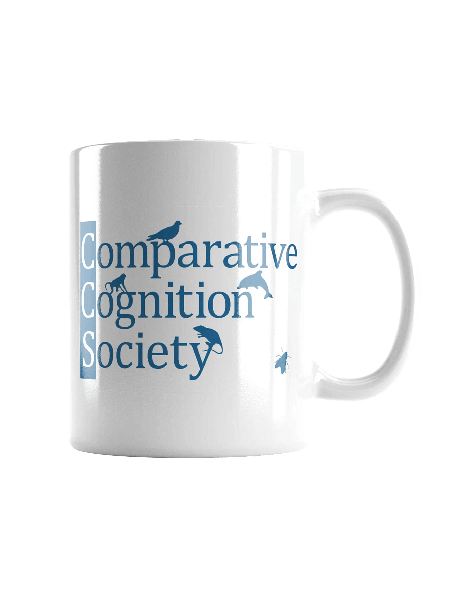 CCS mug product image (3)