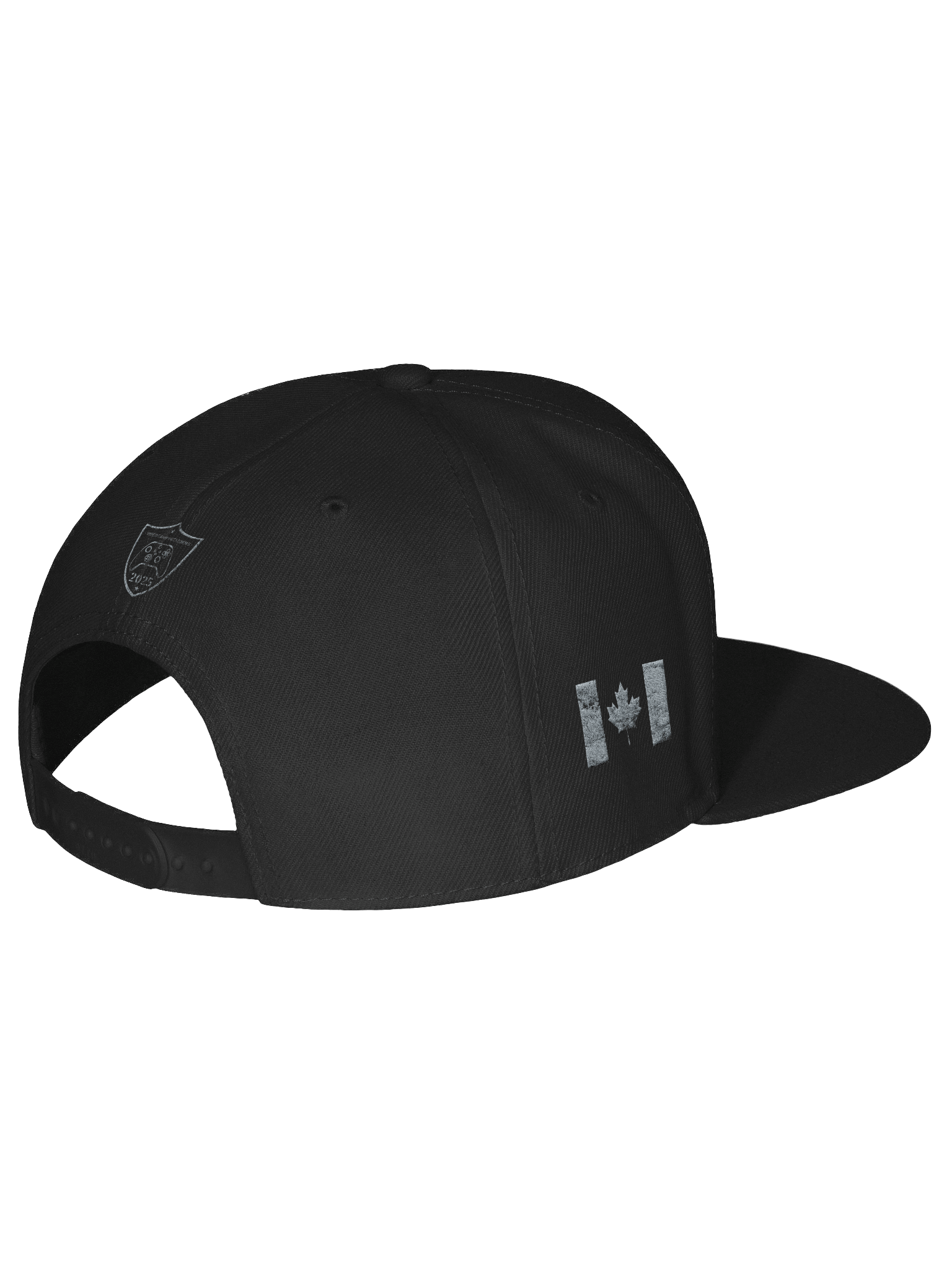 VGO 20 Year Hat product image (8)