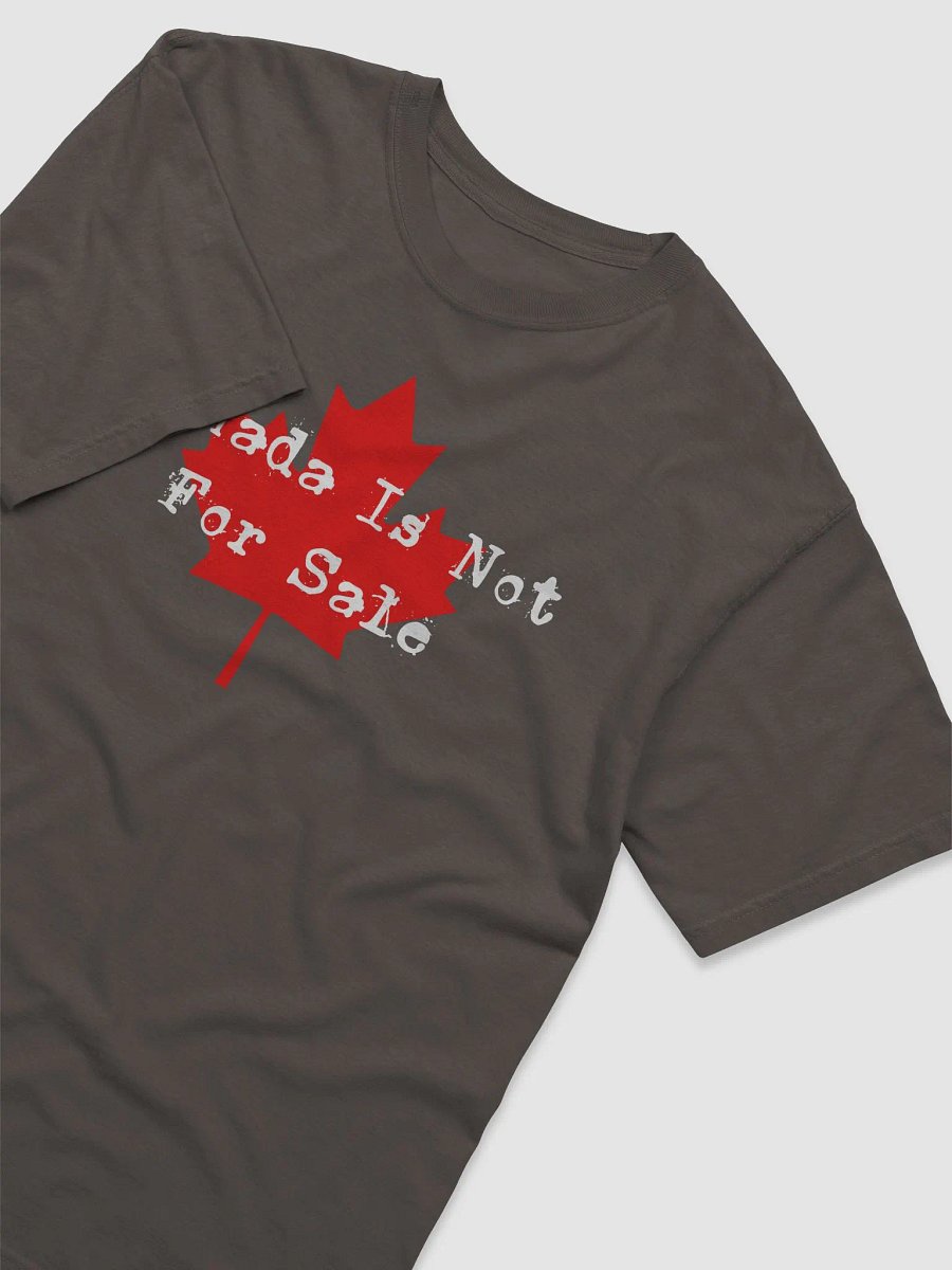 Canada Is Not For Sale T Shirt, Canada Is Our Ally Tee product image (4)