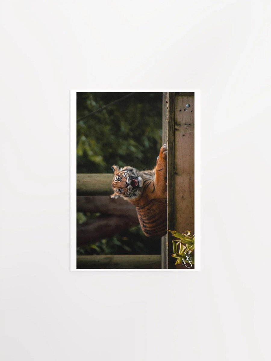 The Happy Cub - Print product image (1)