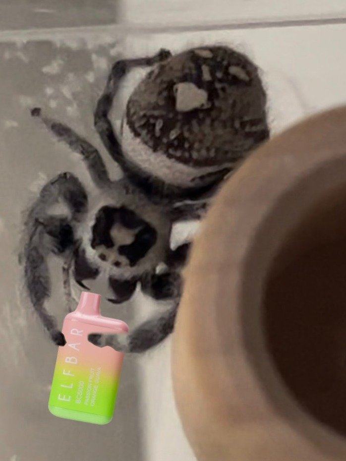 MF SPOOD fake vape bar jumping spider joke hide product image (3)