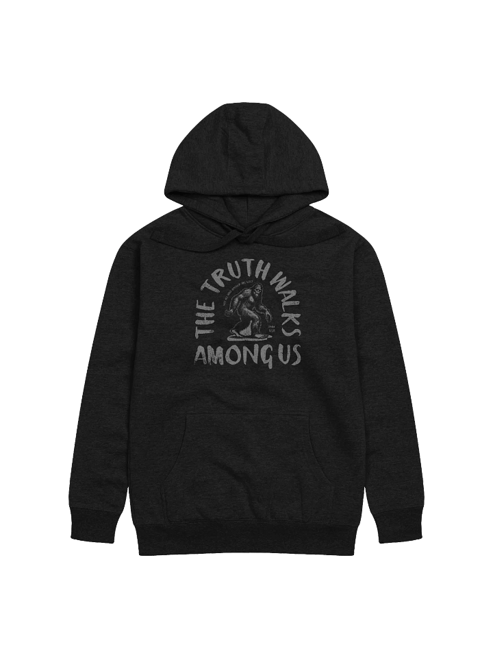 The Truth Walks Among Us Hoodie product image (1)