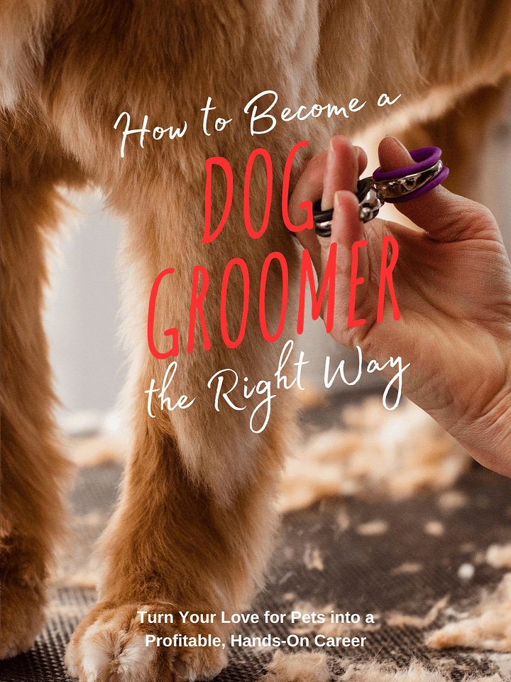 How to Become a Dog Groomer product image (1)