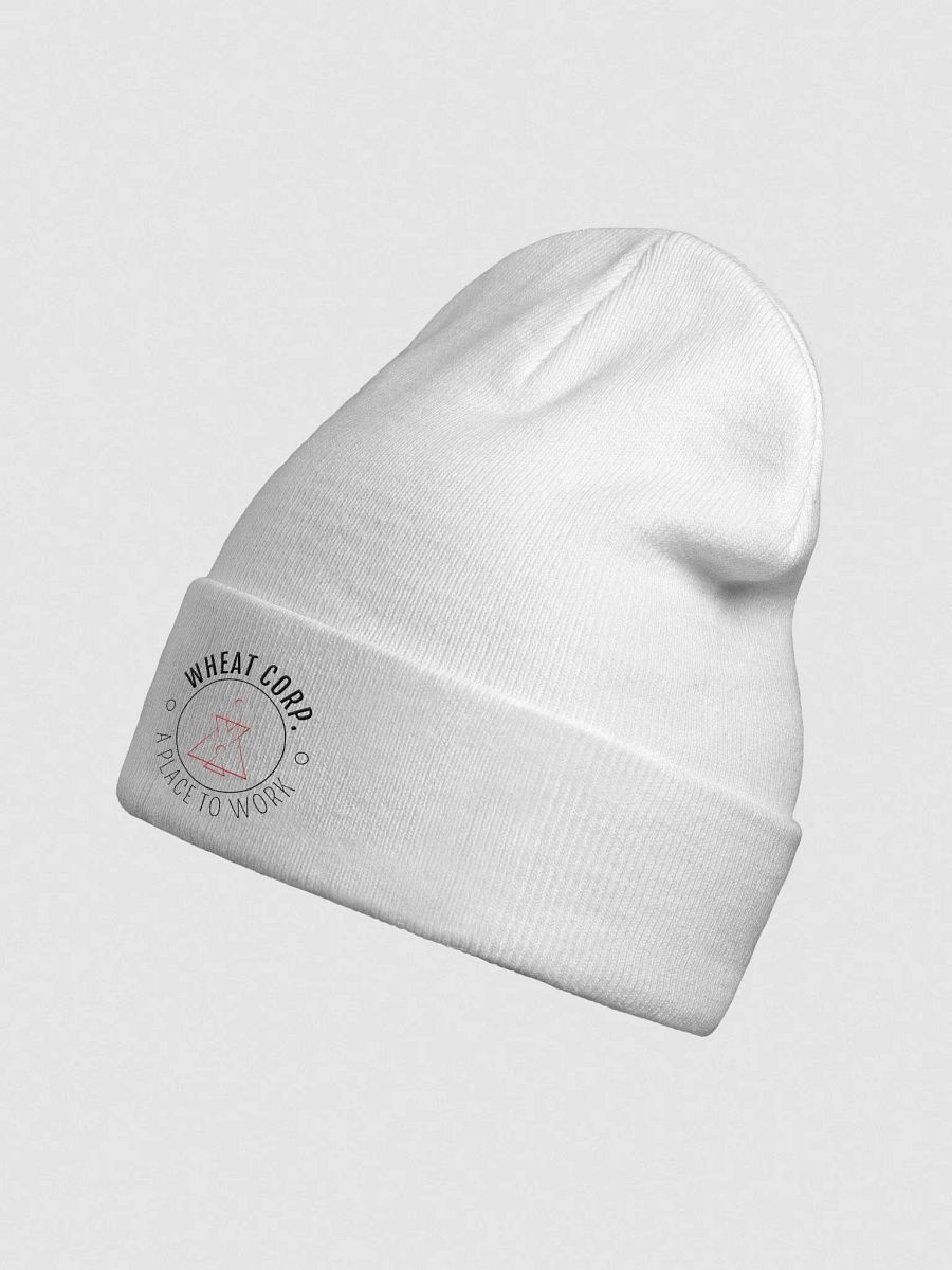 Generic Beanie product image (4)