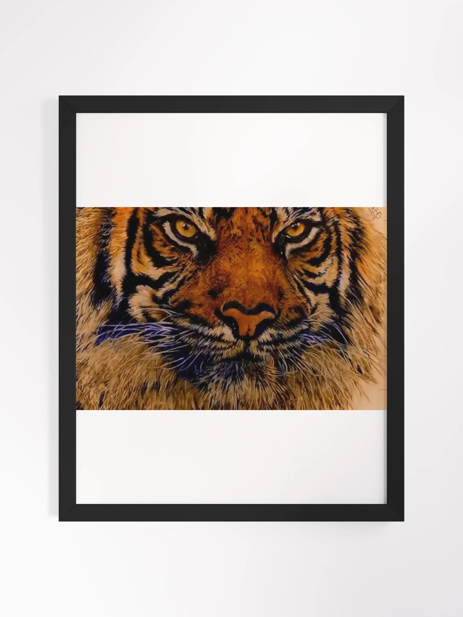 Tiger Colored Pencil Drawing Framed Print product image (2)