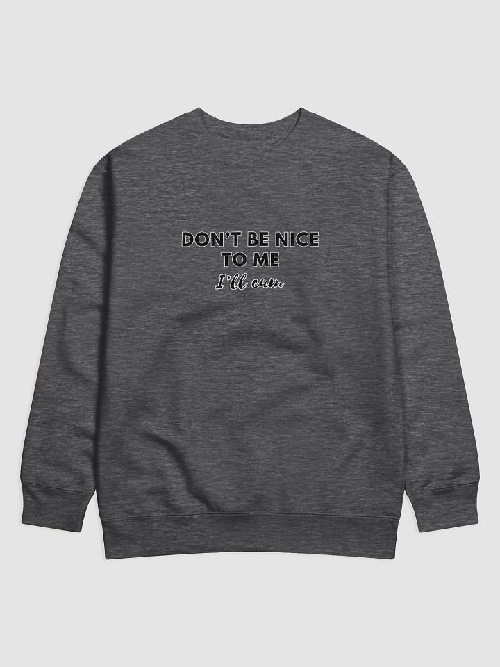 Don't Be Nice To Me Sweater product image (1)
