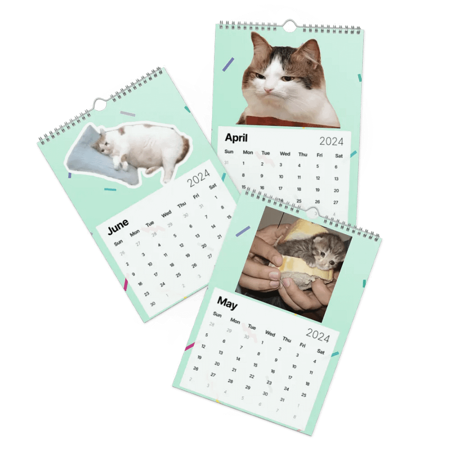 Wall Calendar (2024): Meme Cats product image (3)