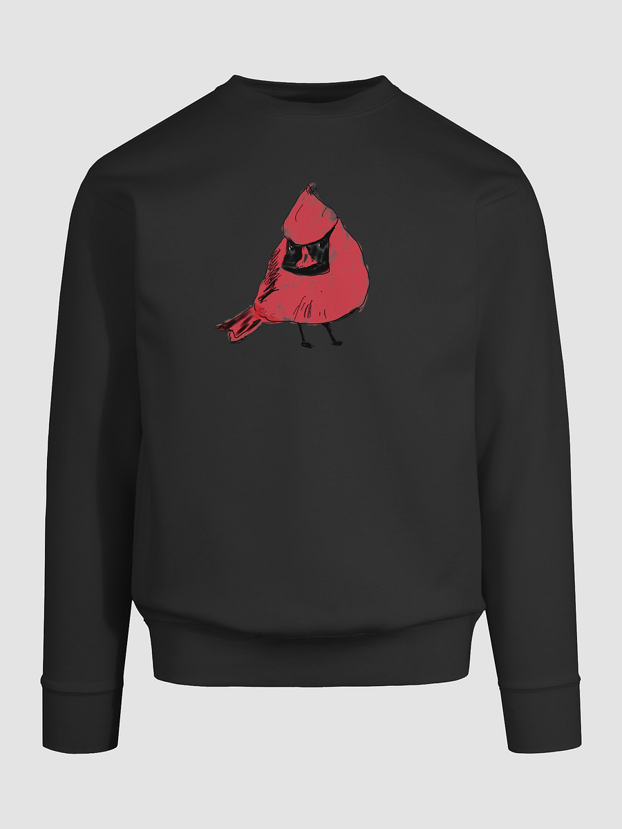 Shirley's Cardinal Sweatshirt product image (59)