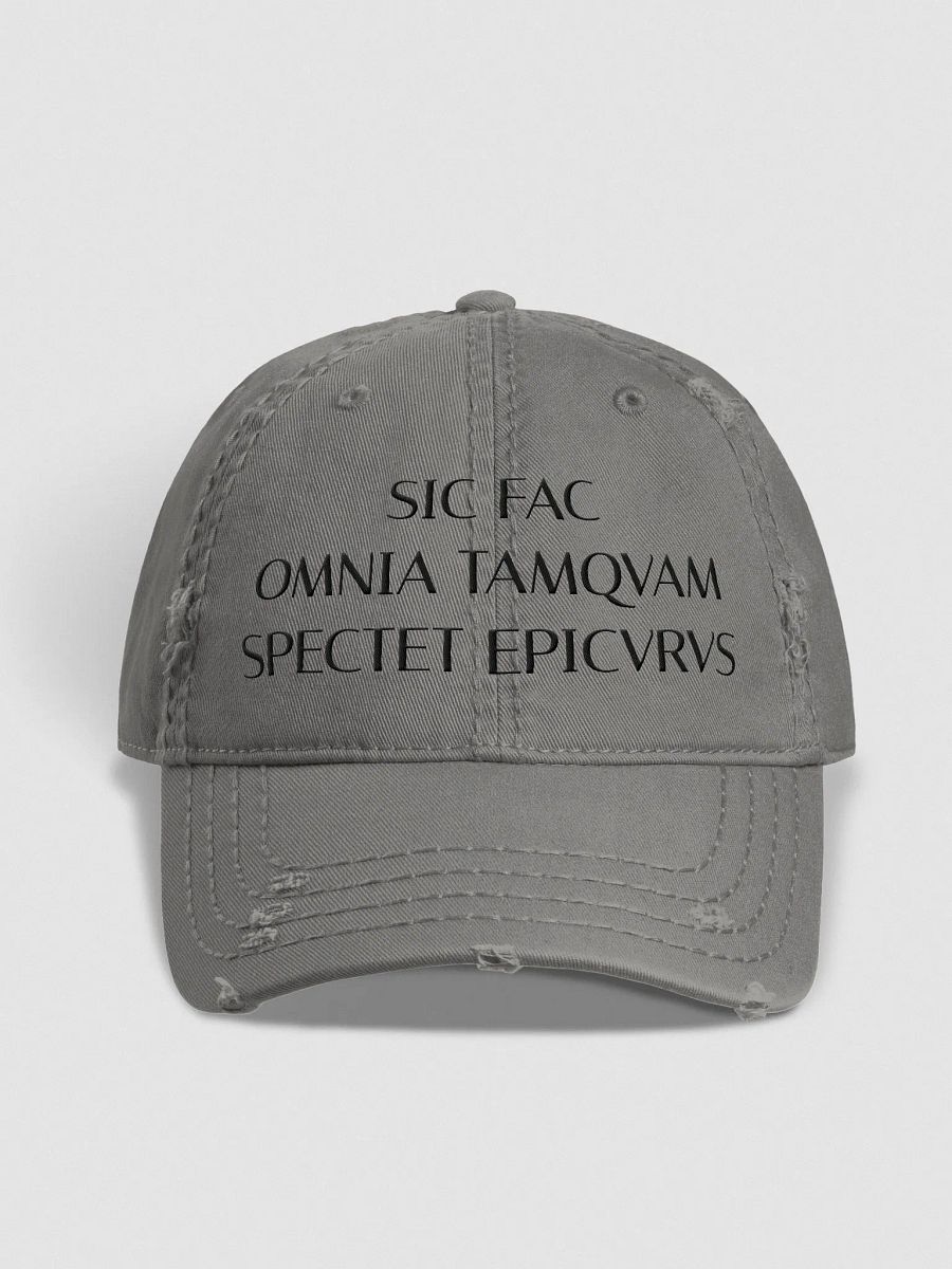 SFOTSE DARK (Otto Distressed Dad Hat) product image (2)