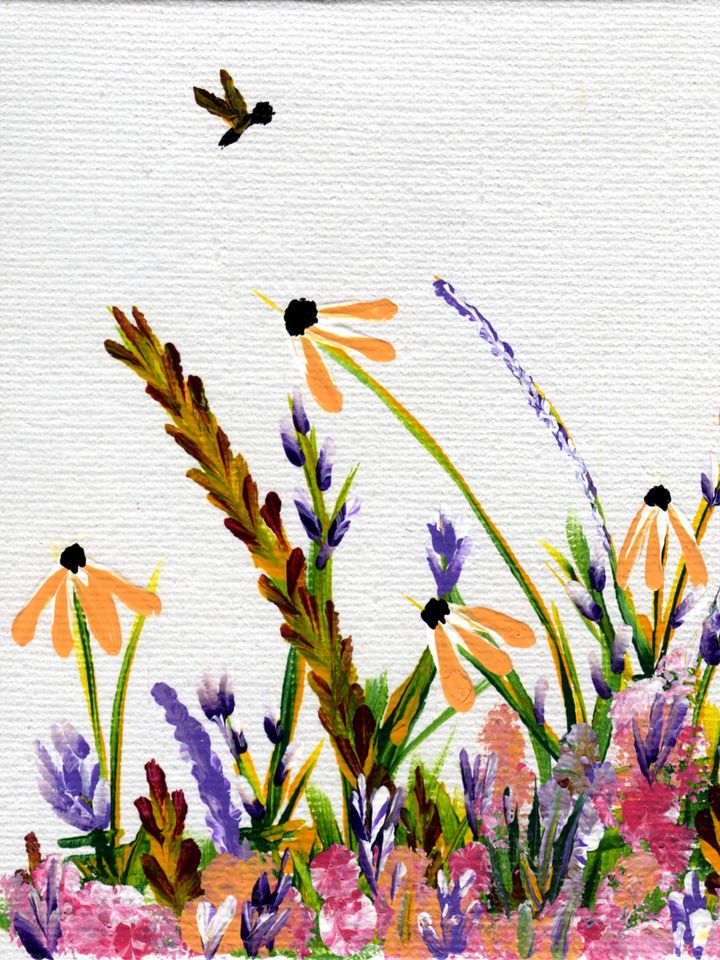 Wildflower Meadow product image (1)