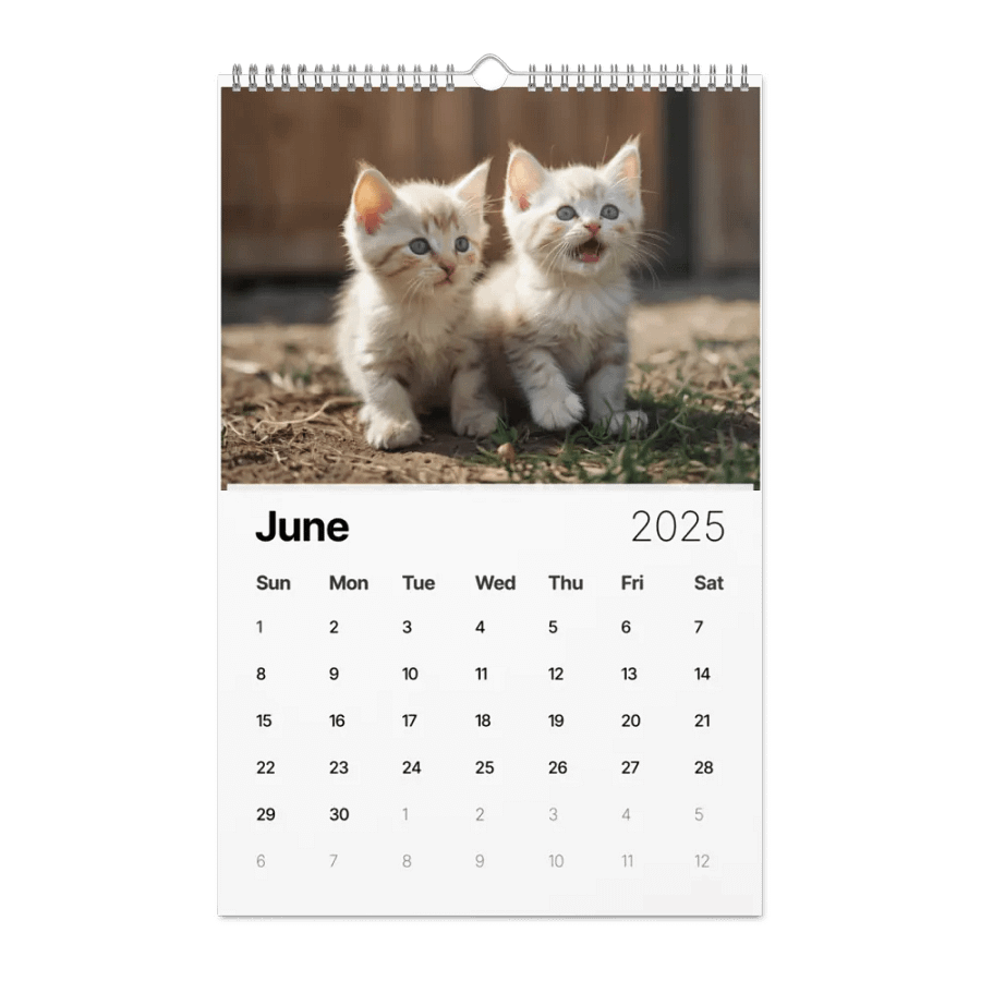 They are Sooooo Cute! CZ229 Kittens Calendar product image (8)