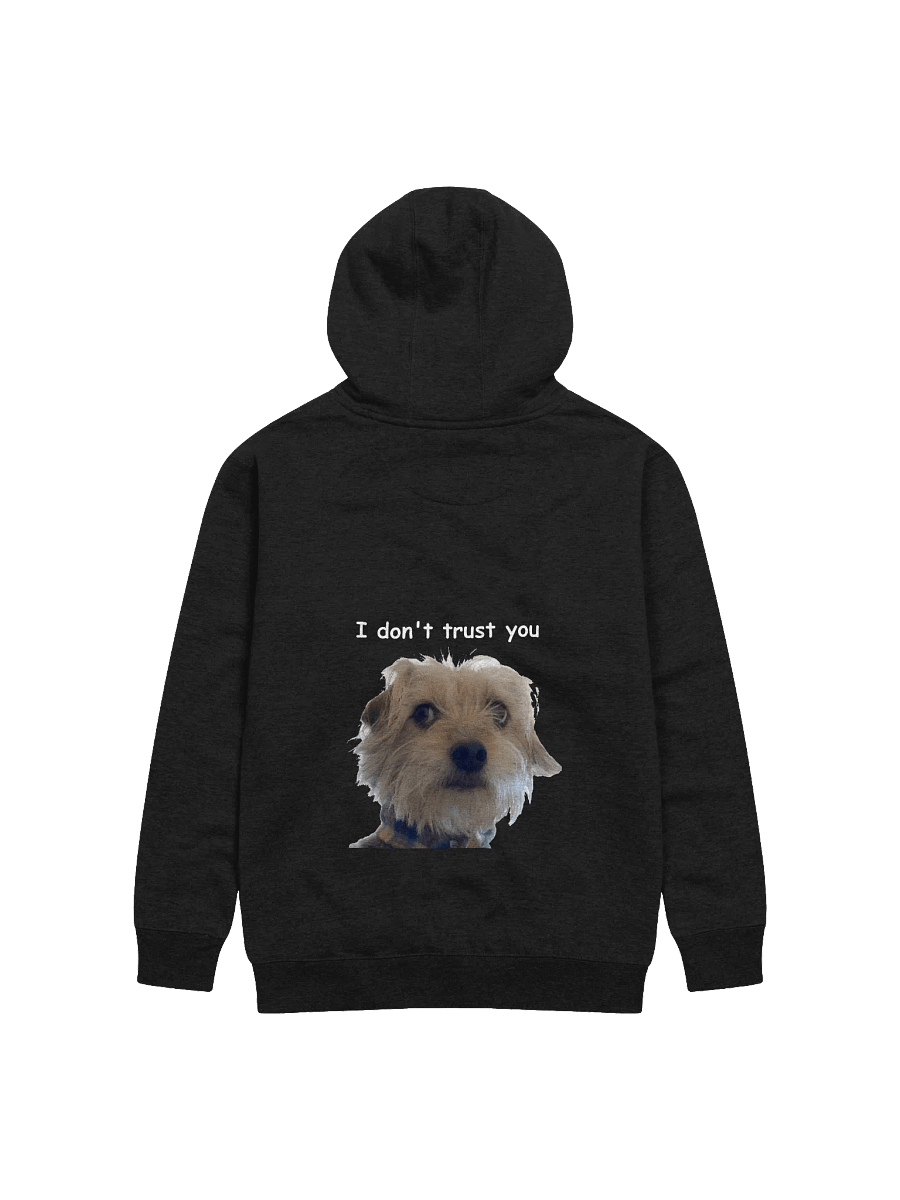 "I don't trust you" Hoodie product image (1)
