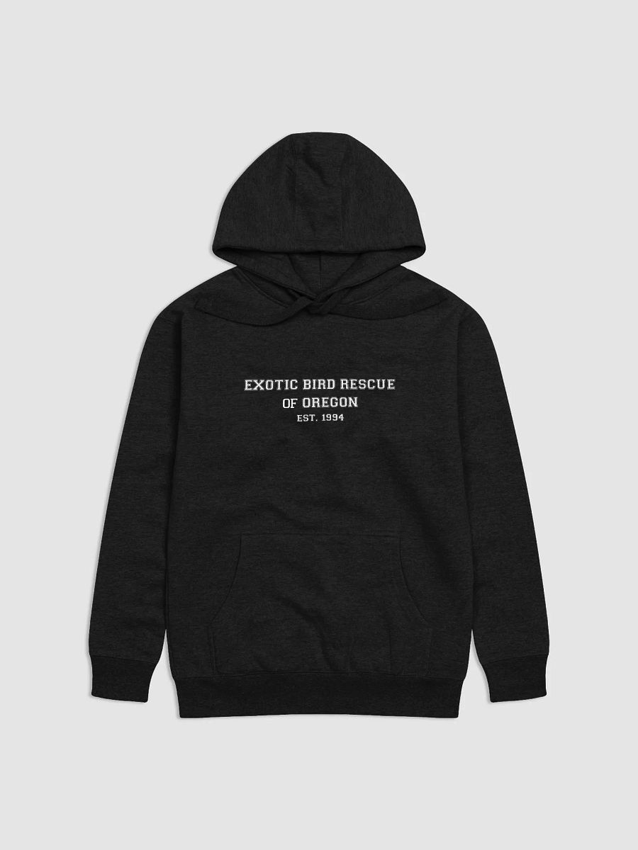 EBR Varsity Hoodie product image (4)