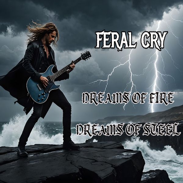 Dreams of Fire Dreams of Steel product image (1)
