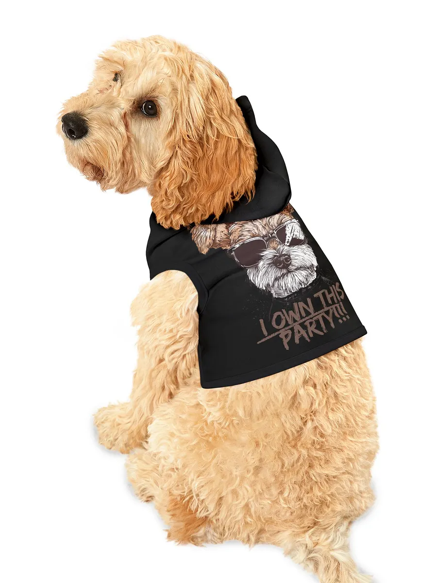PAPASITOS PAWS OWN PARTY HOODIE product image (4)
