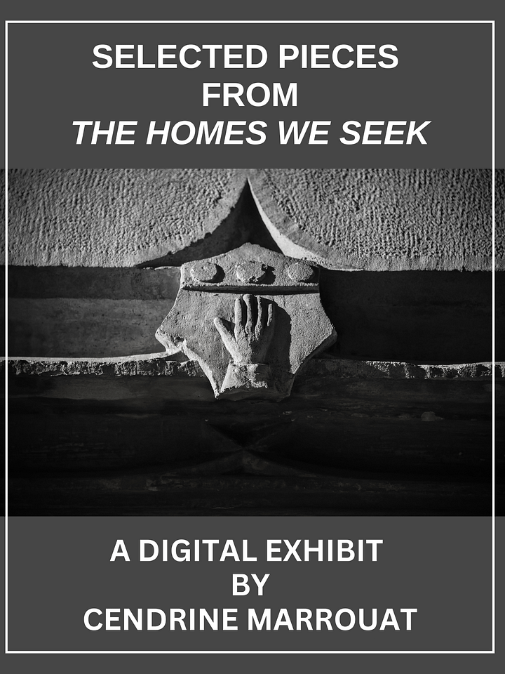 Selected Pieces from The Homes We Seek Exhibit product image (1)