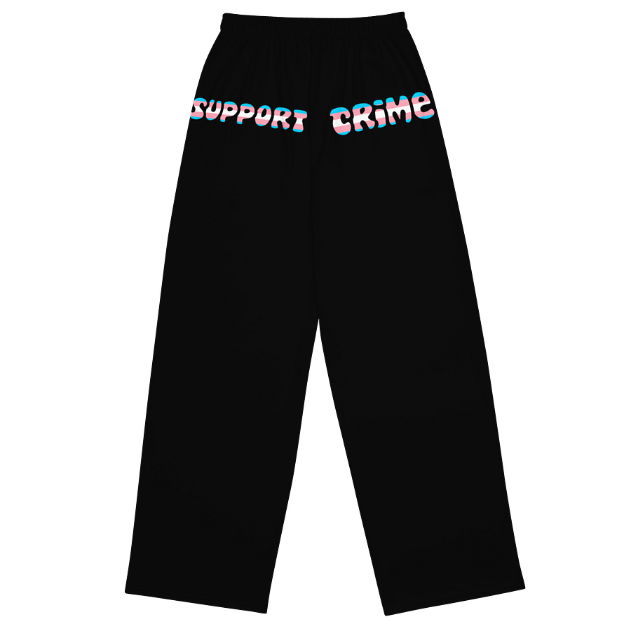 Trans Crime Booty Pants product image (2)