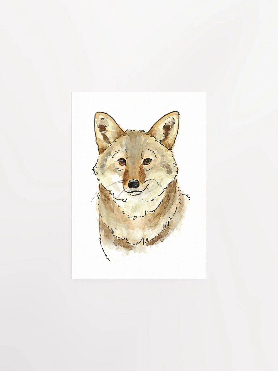 Watercolor Coyote Portrait - Art Print product image (5)
