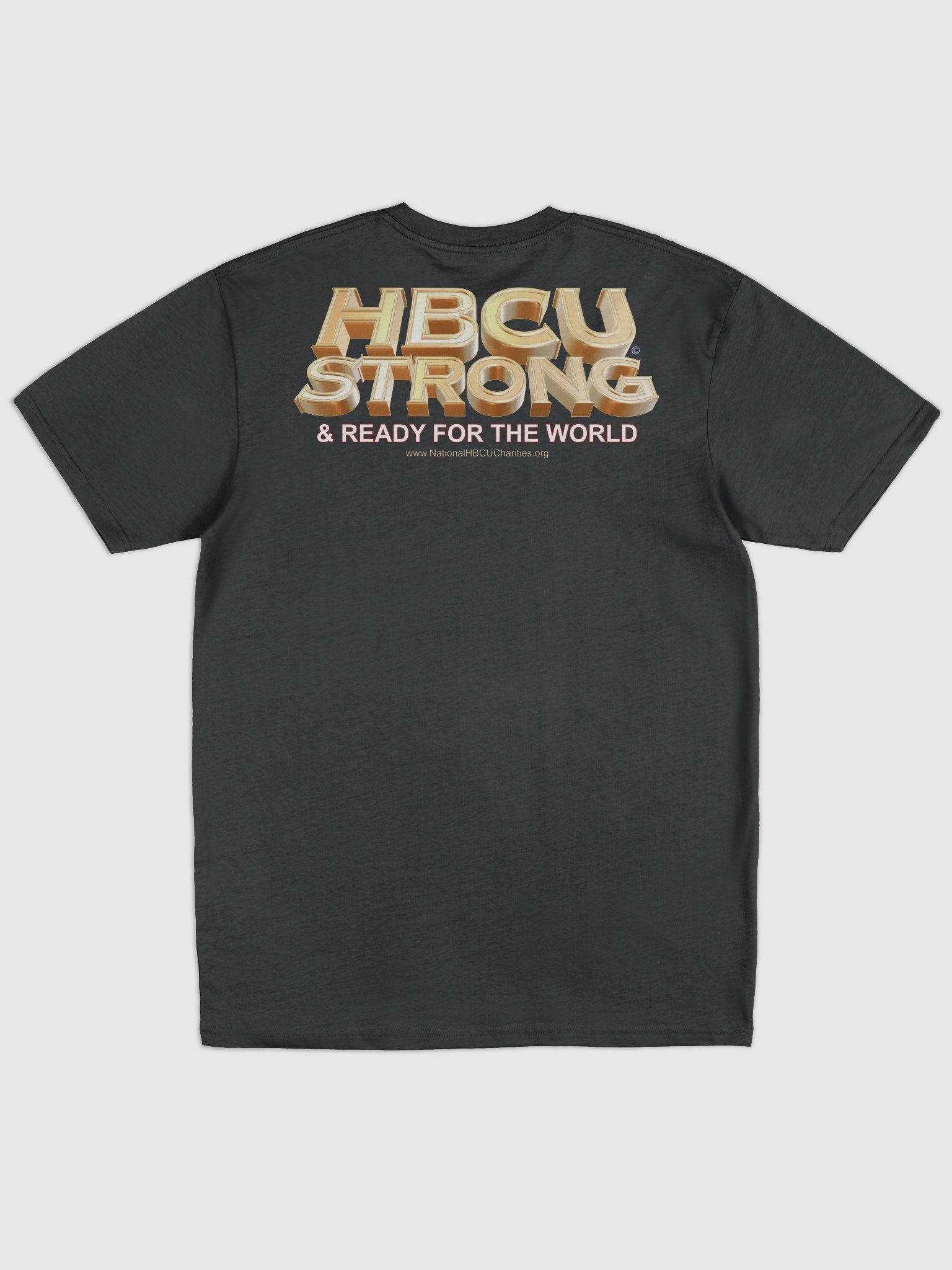 HBCU Strong & Ready for the World T-Shirt Art #4 product image (9)