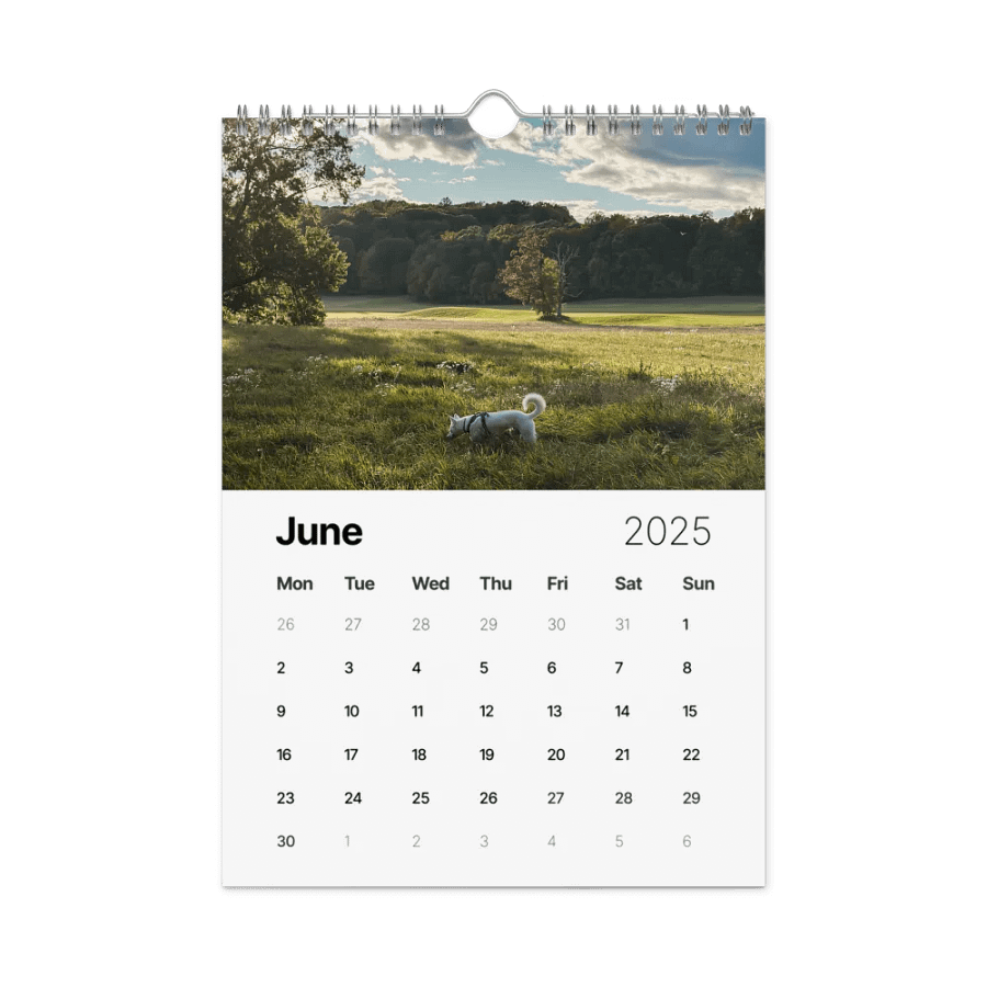 Eli's Favorite 2025 Calendar product image (8)